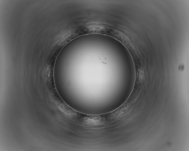 X0000097840567200803141210