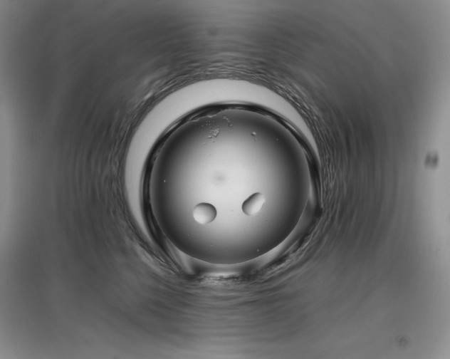 X0000097840568200803141210
