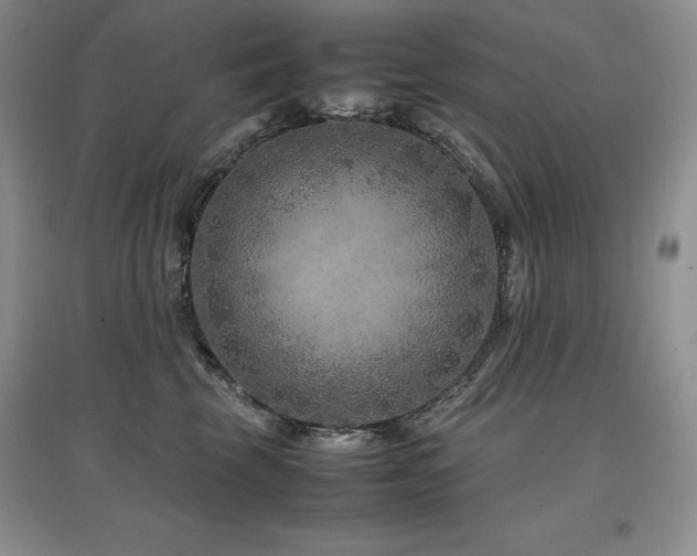 X0000097840569200803141210
