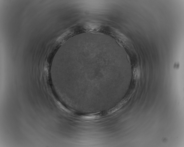 X0000097840570200803141210