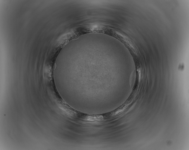 X0000097840571200803141210