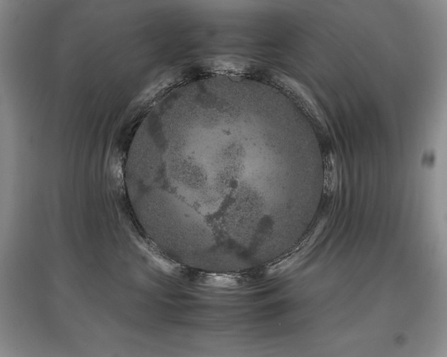X0000097840573200803141210
