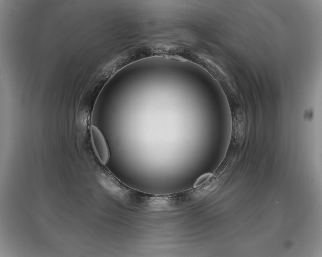 X0000097840574200803141211