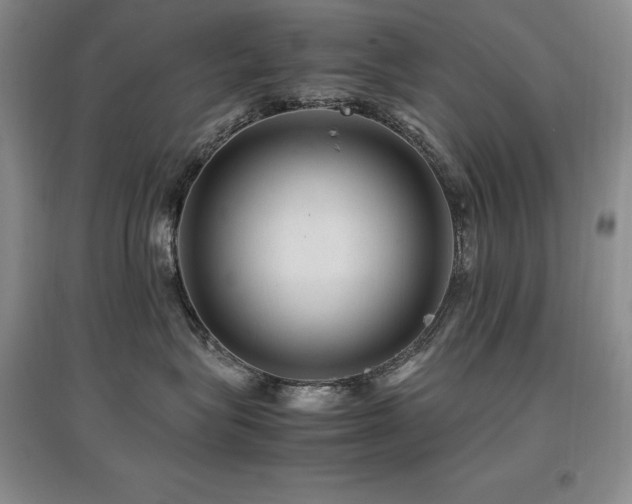X0000097840575200803141211