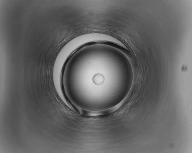 X0000097840576200803141211