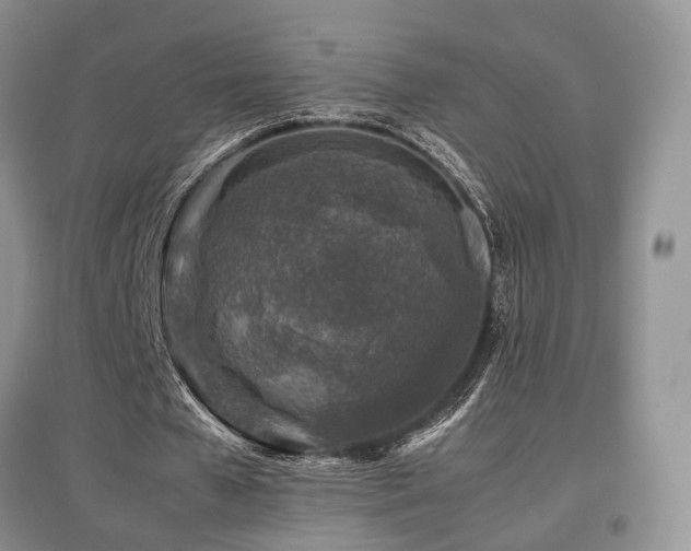 X0000097840577200803141210