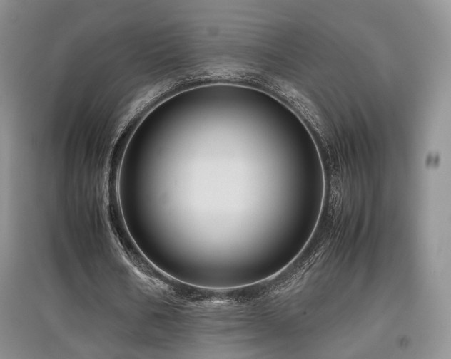 X0000097840578200803141210