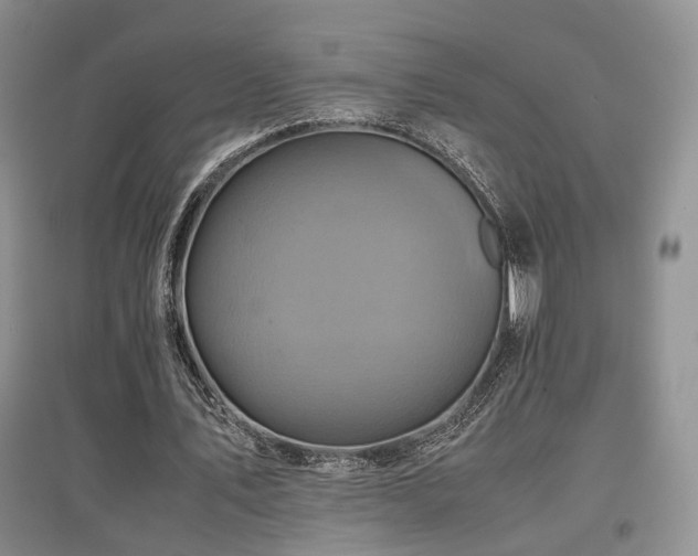X0000097840579200803141210