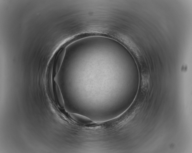 X0000097840580200803141210