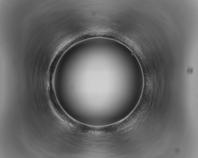 X0000097840582200803141210