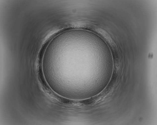 X0000097840583200803141210