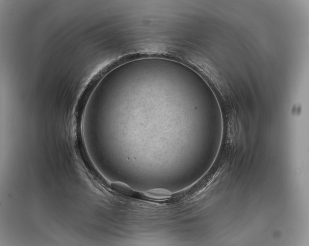 X0000097840584200803141210