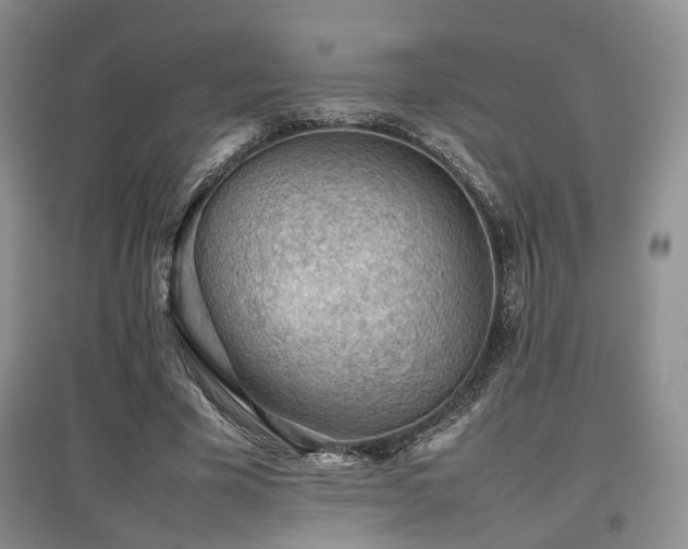 X0000097840585200803141210