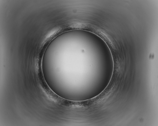X0000097840586200803141210