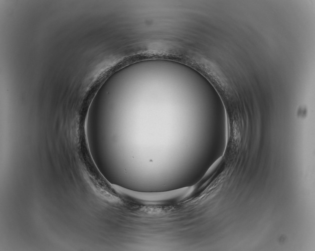 X0000097840588200803141210