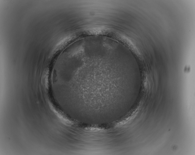 X0000097840590200803141210