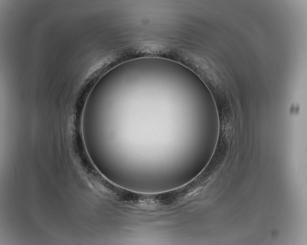 X0000097840591200803141210