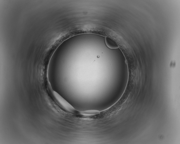 X0000097840592200803141210