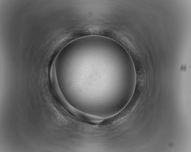 X0000097840593200803141210