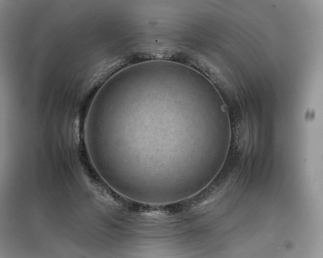 X0000097840594200803141210