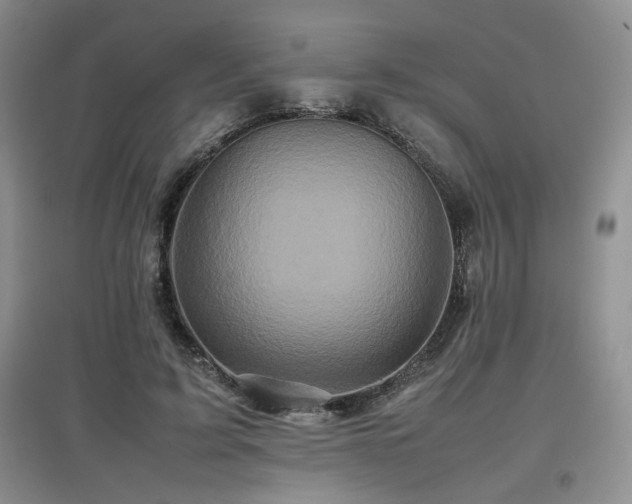 X0000097840595200803141210