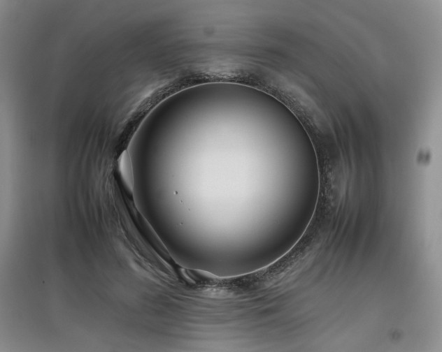 X0000097840596200803141210
