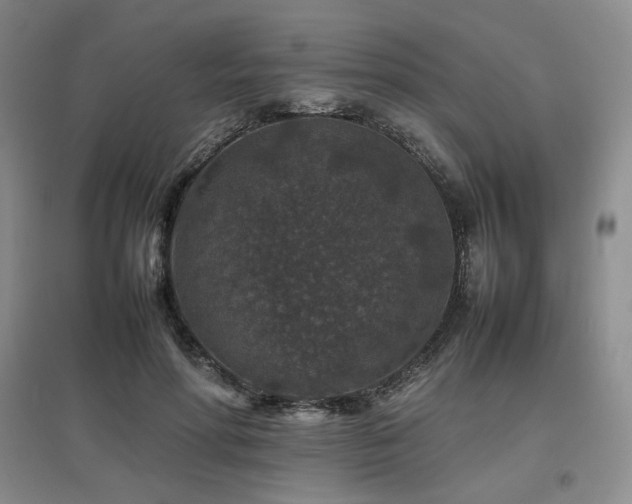 X0000097840598200803141210