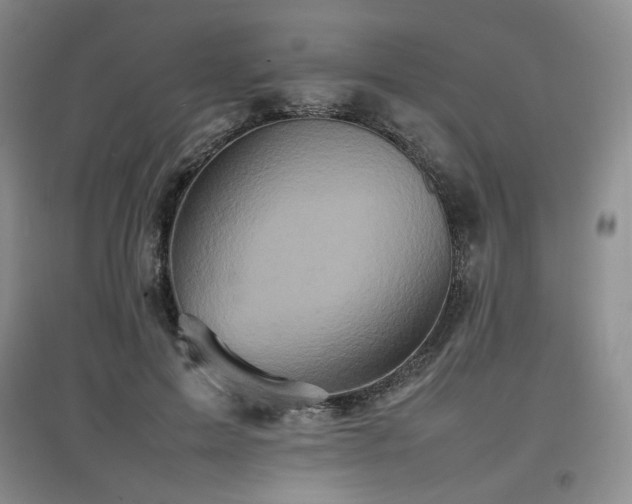 X0000097840599200803141210