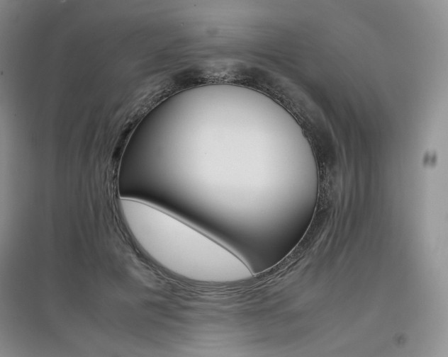 X0000097840601200803141210