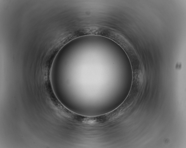 X0000097840602200803141210