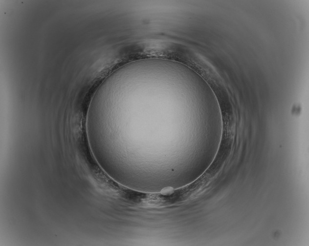 X0000097840603200803141210