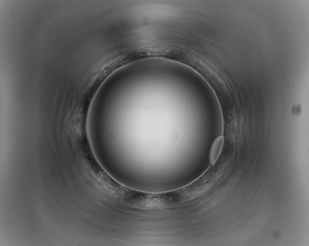 X0000097840604200803141209