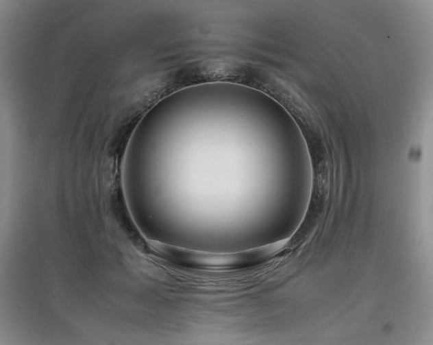 X0000097840605200803141209