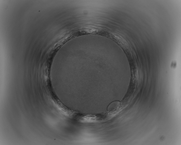 X0000097840606200803141209