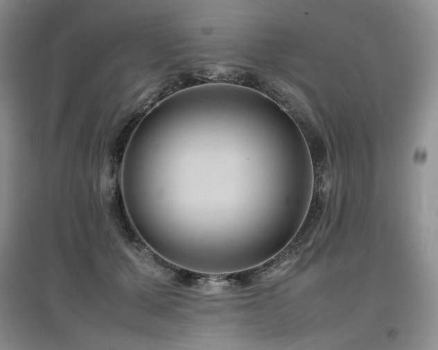 X0000097840607200803141209