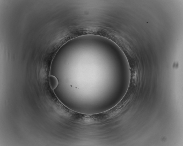 X0000097840608200803141209