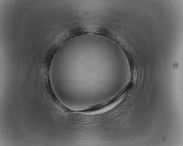 X0000097840609200803141209
