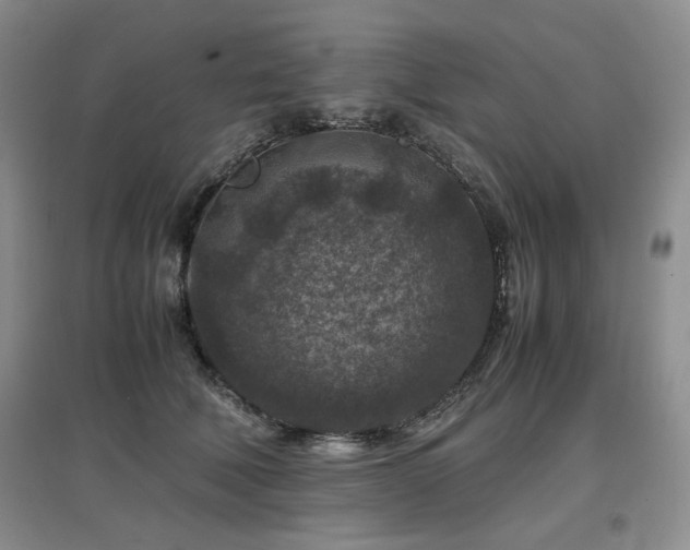 X0000097840610200803141209