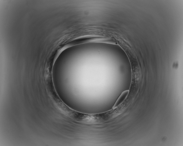 X0000097840611200803141209