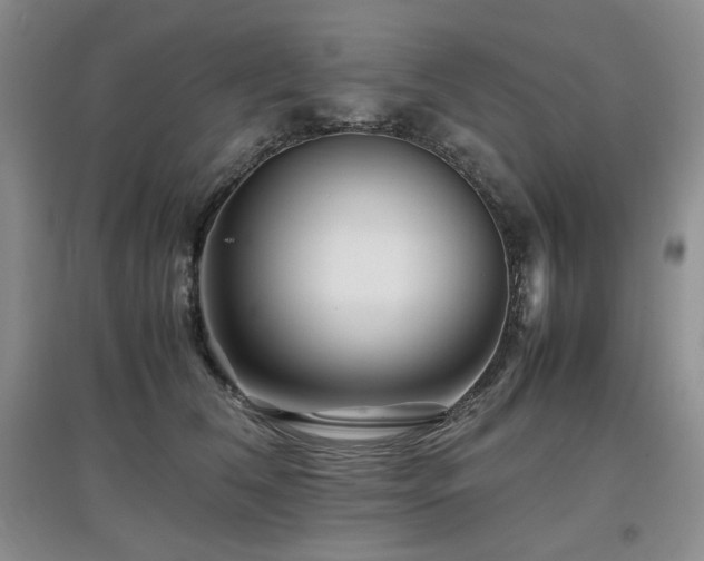 X0000097840612200803141209