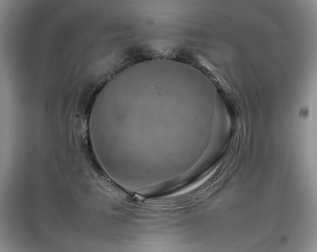 X0000097840613200803141209