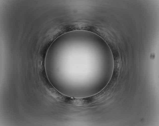 X0000097840615200803141209