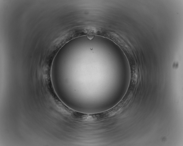 X0000097840616200803141209