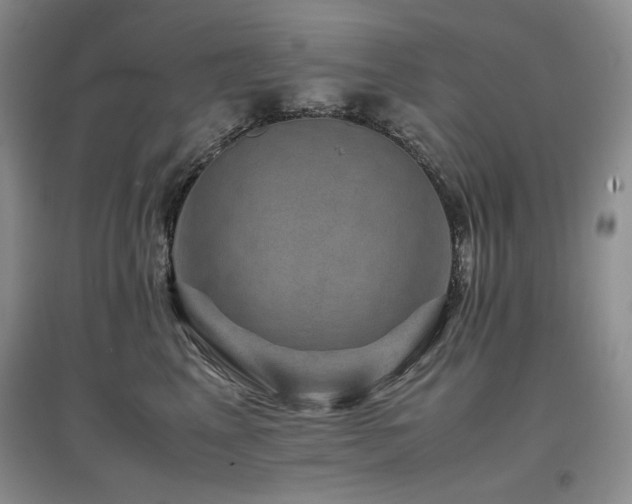 X0000097840617200803141209
