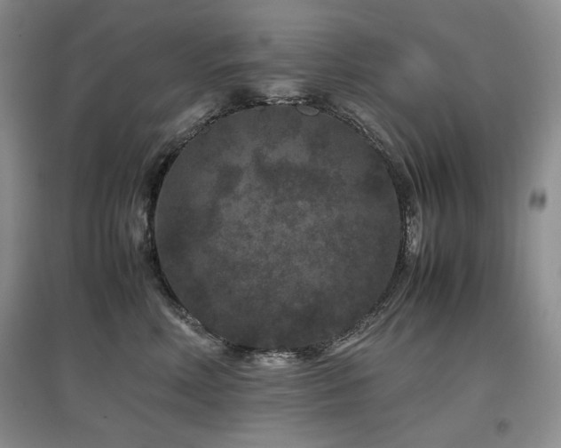 X0000097840618200803141209