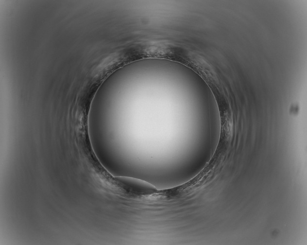 X0000097840619200803141209