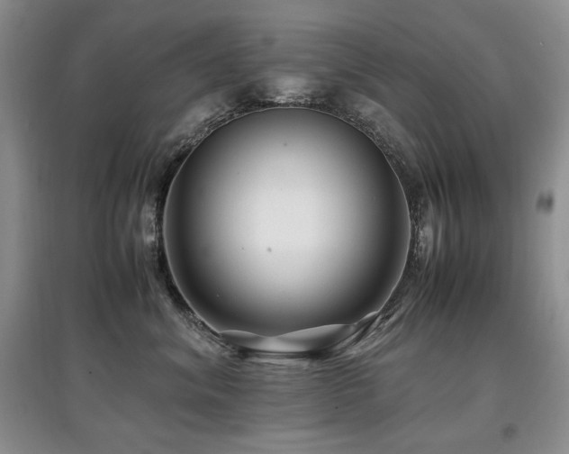 X0000097840620200803141209