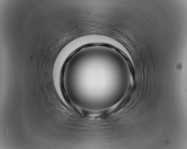 X0000097840621200803141209