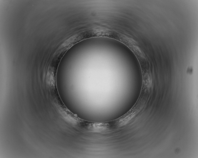 X0000097840622200803141209