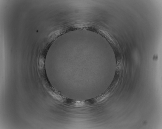 X0000097840623200803141209